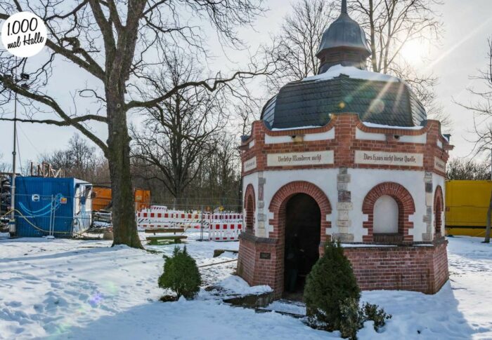 #41: Gesundbrunnenhaus Halle e.V.