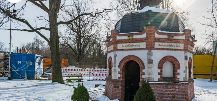 #41: Gesundbrunnenhaus Halle e.V.