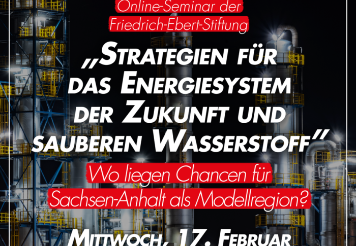 Online-Seminar der Friedrich-Ebert-Stiftung zu grünem Wasserstoff