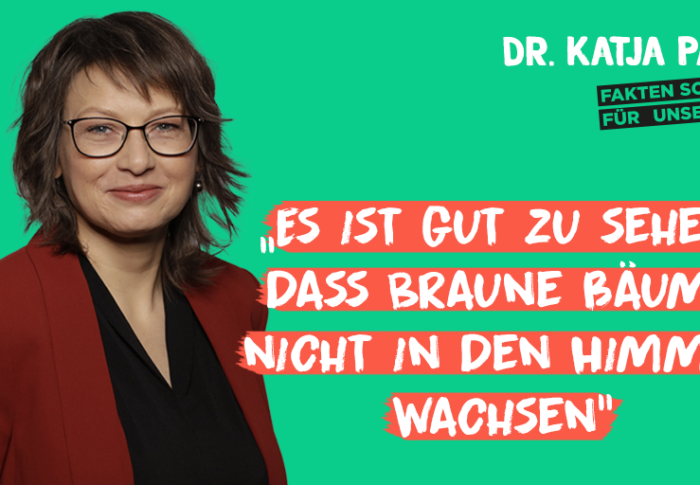 „Braune Bäume wachsen nicht in den Himmel“