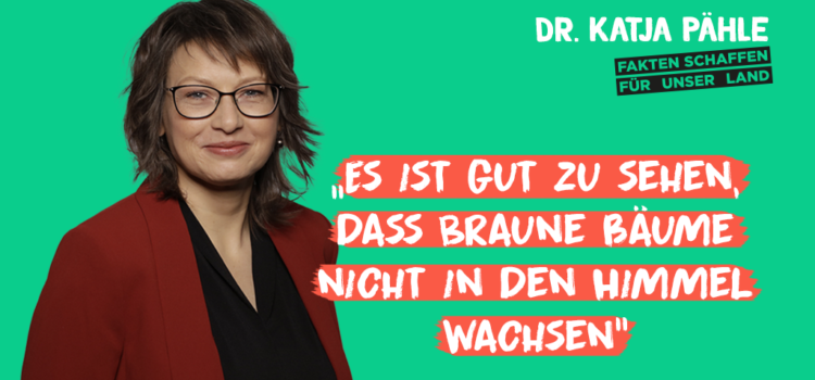 „Braune Bäume wachsen nicht in den Himmel“